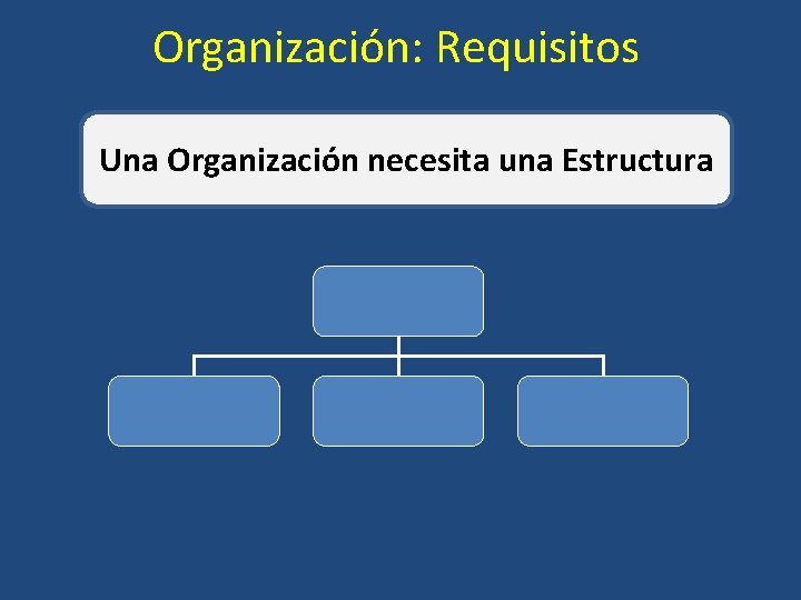 Organización: Requisitos Una Organización necesita una Estructura 