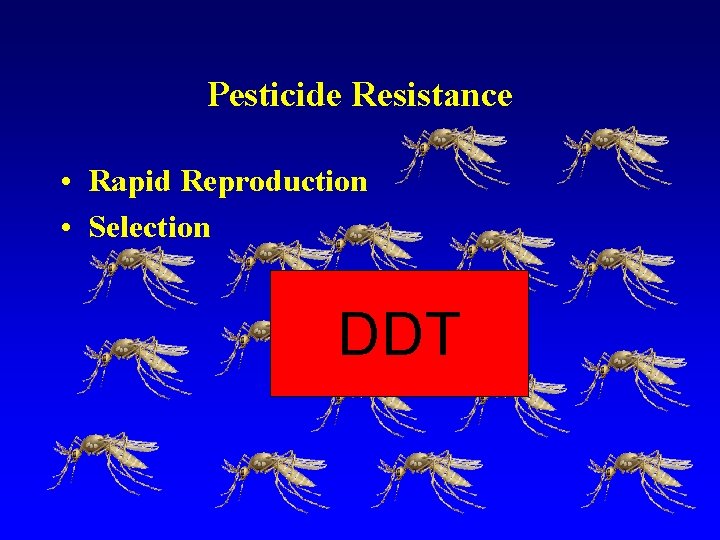 Pesticide Resistance • Rapid Reproduction • Selection DDT 