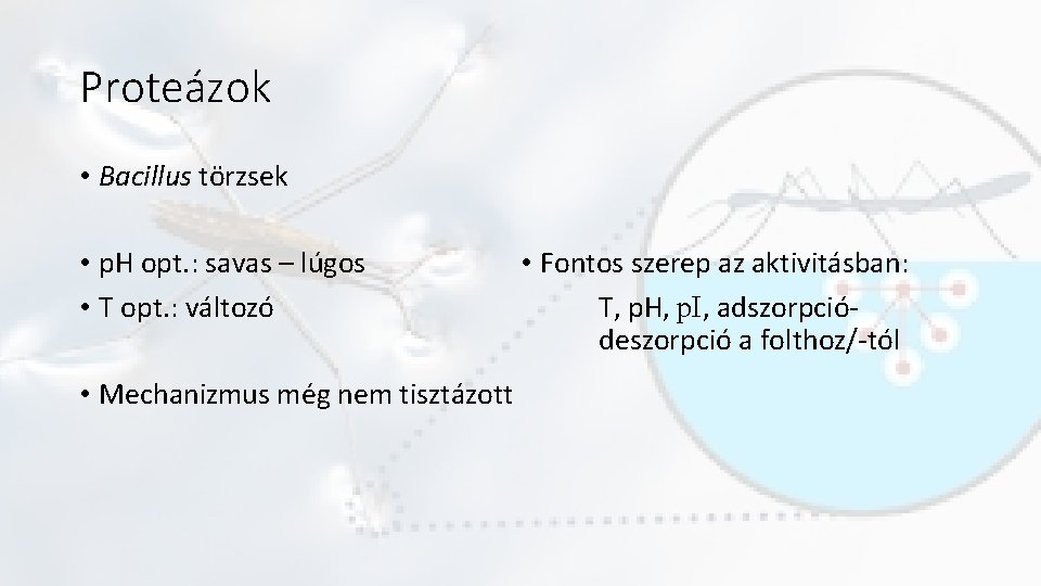 Proteázok • Bacillus törzsek • p. H opt. : savas – lúgos • T