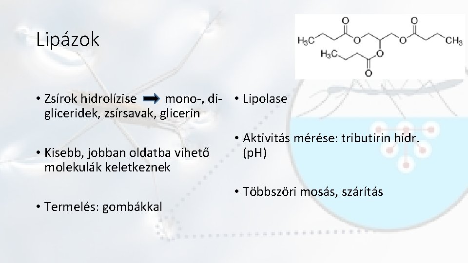 Lipázok • Zsírok hidrolízise mono-, di- • Lipolase gliceridek, zsírsavak, glicerin • Kisebb, jobban