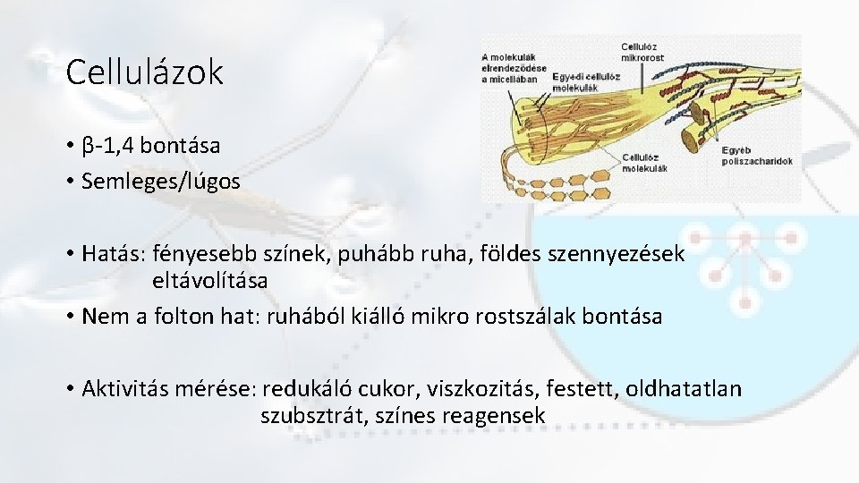 Cellulázok • β-1, 4 bontása • Semleges/lúgos • Hatás: fényesebb színek, puhább ruha, földes