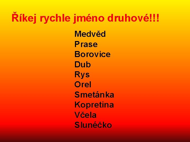 Říkej rychle jméno druhové!!! Medvěd Prase Borovice Dub Rys Orel Smetánka Kopretina Včela Slunéčko