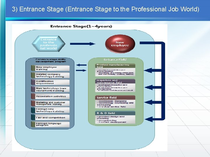 3) Entrance Stage (Entrance Stage to the Professional Job World) 
