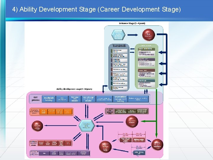 4) Ability Development Stage (Career Development Stage) 