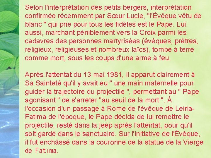 Selon l'interprétation des petits bergers, interprétation confirmée récemment par Sœur Lucie, "l'Évêque vêtu de