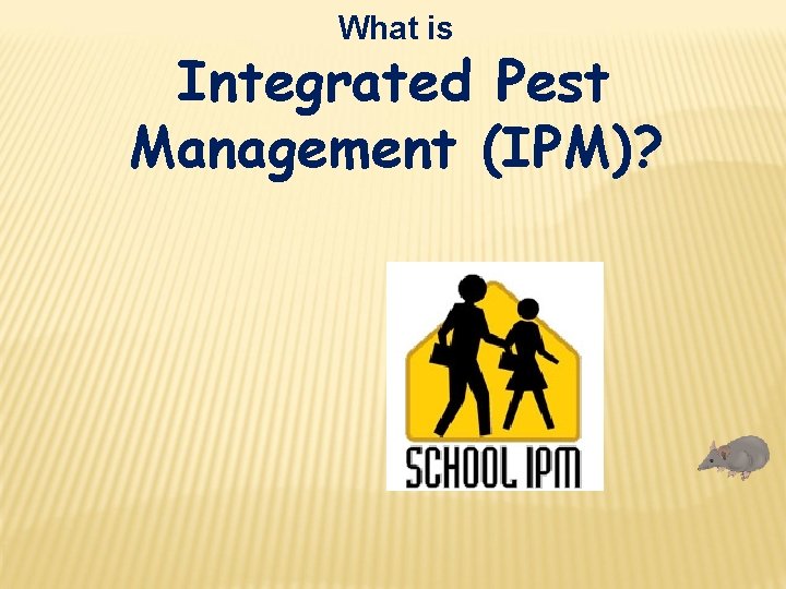 What is Integrated Pest Management (IPM)? 