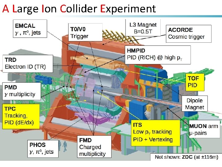 A Large Ion Collider Experiment 