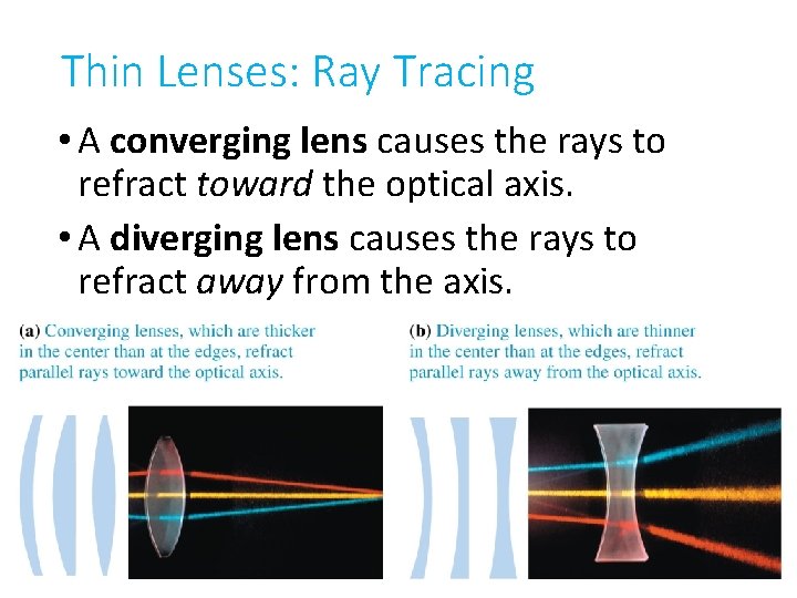 Thin Lenses: Ray Tracing • A converging lens causes the rays to refract toward