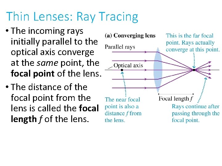Thin Lenses: Ray Tracing • The incoming rays initially parallel to the optical axis