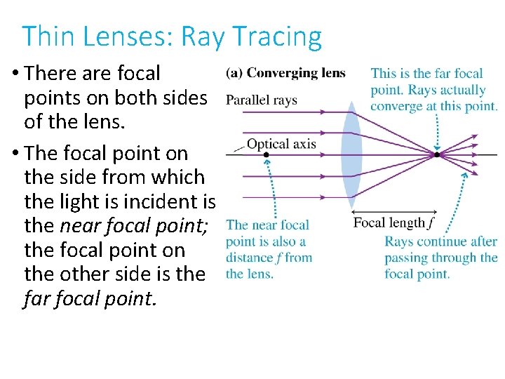 Thin Lenses: Ray Tracing • There are focal points on both sides of the