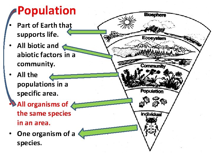 Population • Part of Earth that supports life. • All biotic and abiotic factors