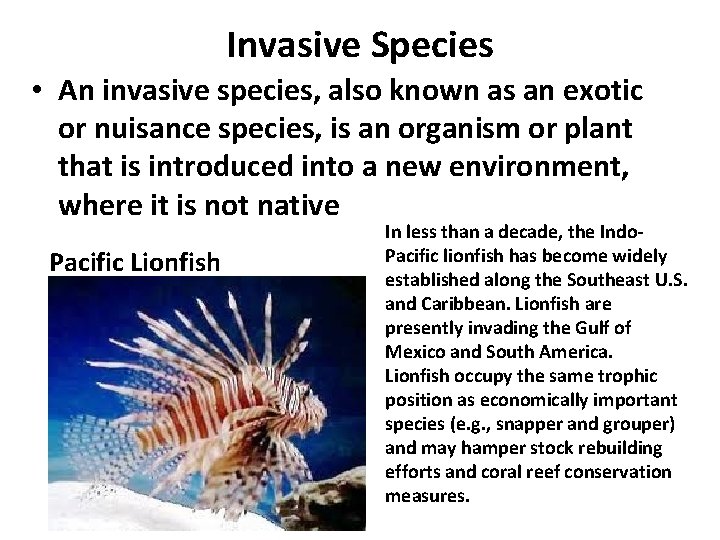 Invasive Species • An invasive species, also known as an exotic or nuisance species,