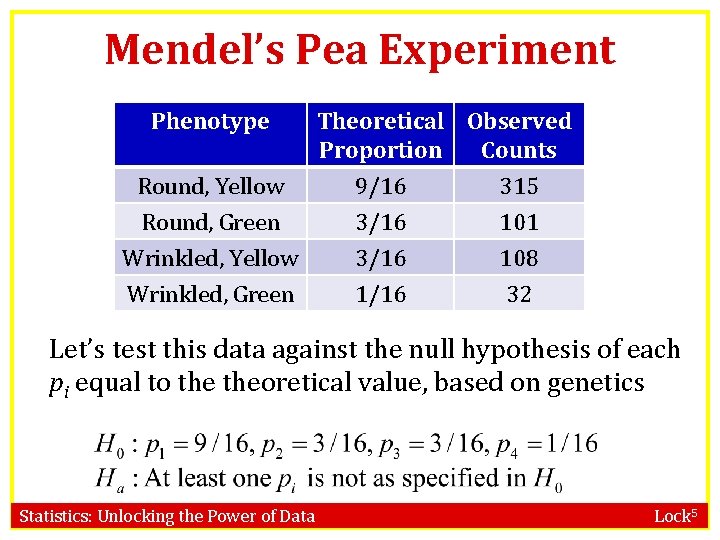 Mendel’s Pea Experiment Phenotype Round, Yellow Round, Green Wrinkled, Yellow Wrinkled, Green Theoretical Observed