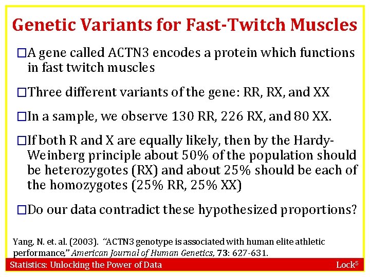 Genetic Variants for Fast-Twitch Muscles �A gene called ACTN 3 encodes a protein which