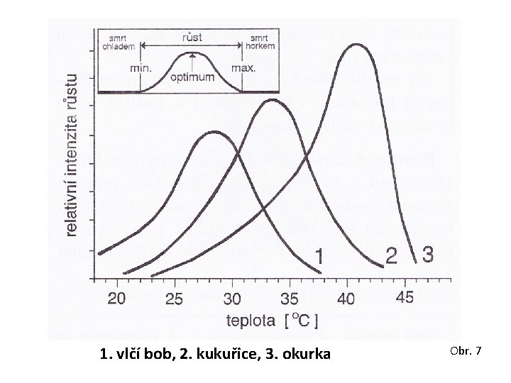 1. vlčí bob, 2. kukuřice, 3. okurka Obr. 7 