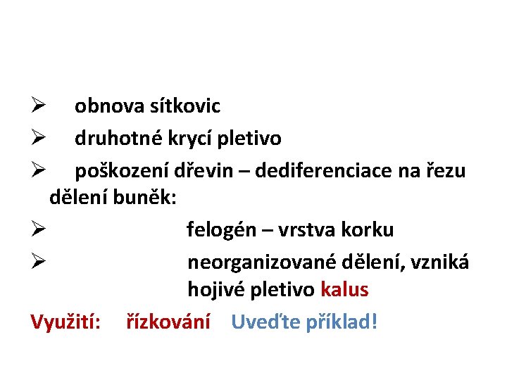 obnova sítkovic druhotné krycí pletivo poškození dřevin – dediferenciace na řezu dělení buněk: Ø