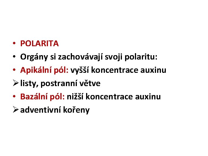 • POLARITA • Orgány si zachovávají svoji polaritu: • Apikální pól: vyšší koncentrace • POLARITA • Orgány si zachovávají svoji polaritu: • Apikální pól: vyšší koncentrace