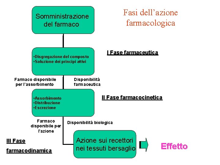 Fasi dell’azione farmacologica Somministrazione del farmaco • Disgregazione del composto • Soluzione dei principi