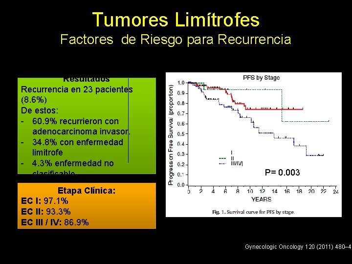 Tumores Limítrofes Factores de Riesgo para Recurrencia Resultados Recurrencia en 23 pacientes (8. 6%)