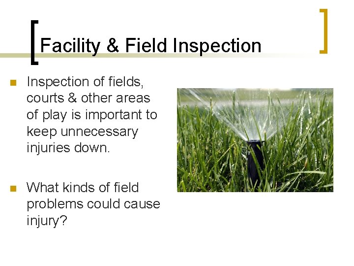Facility & Field Inspection n Inspection of fields, courts & other areas of play Facility & Field Inspection n Inspection of fields, courts & other areas of play