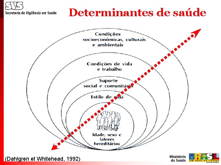 Determinantes de saúde (Dahlgren et Whitehead, 1992) 