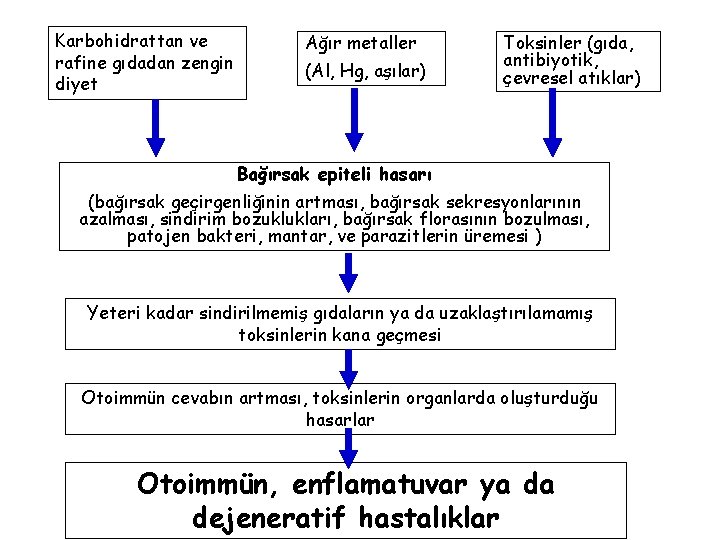 Karbohidrattan ve rafine gıdadan zengin diyet Ağır metaller (Al, Hg, aşılar) Toksinler (gıda, antibiyotik,