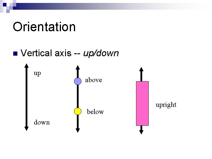 Orientation n Vertical axis -- up/down up above below down upright 