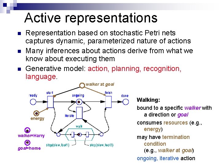 Active representations n n n Representation based on stochastic Petri nets captures dynamic, parameterized