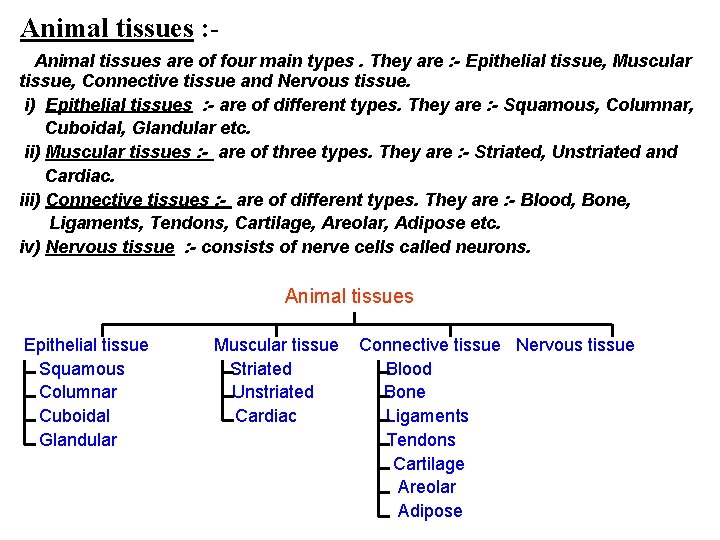 Animal tissues : Animal tissues are of four main types. They are : -