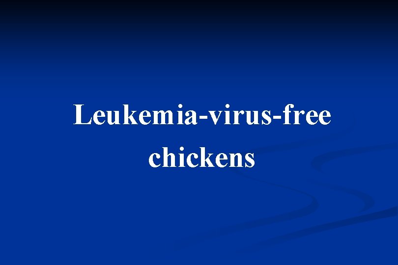 Leukemia-virus-free chickens 