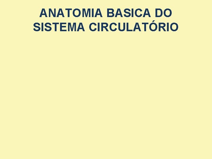 ANATOMIA BASICA DO SISTEMA CIRCULATÓRIO ANATOMIA BASICA DO SISTEMA CIRCULATÓRIO
