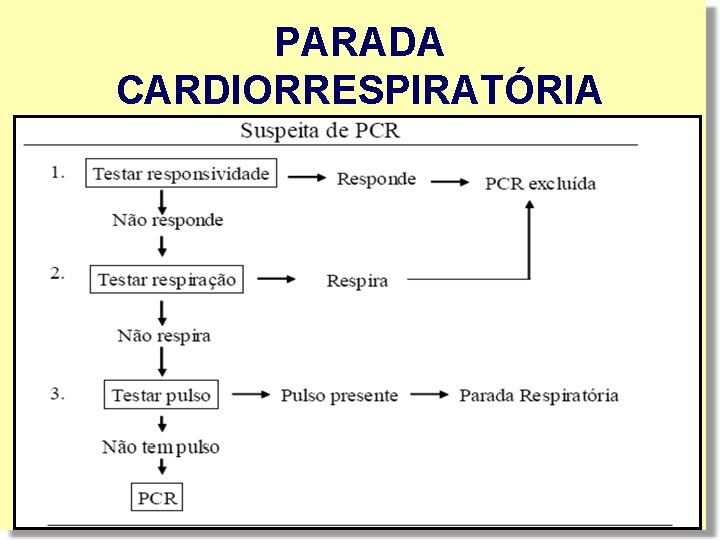 PARADA CARDIORRESPIRATÓRIA PARADA CARDIORRESPIRATÓRIA