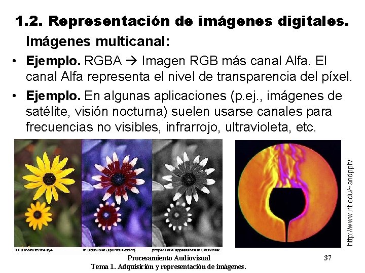 1. 2. Representación de imágenes digitales. Imágenes multicanal: http: //www. rit. edu/~andpph/ • Ejemplo.