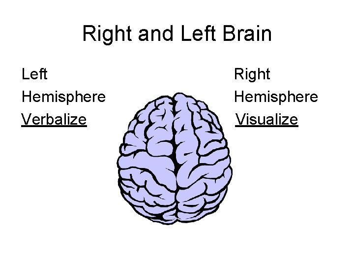 Right and Left Brain Left Hemisphere Verbalize Right Hemisphere Visualize 
