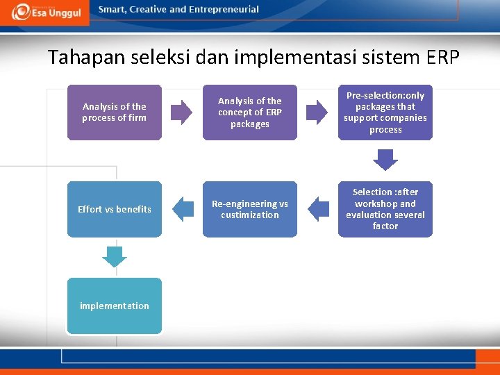 Tahapan seleksi dan implementasi sistem ERP Analysis of the process of firm Effort vs