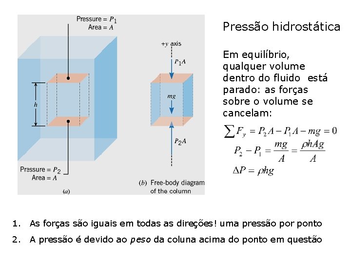 Pressão hidrostática Em equilíbrio, qualquer volume dentro do fluido está parado: as forças sobre