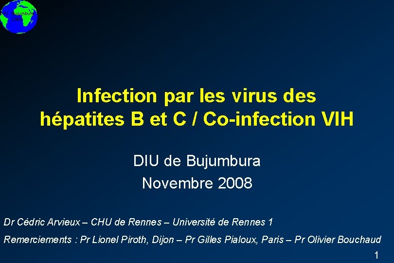 DIU Bujumbura 2008 Infection par les virus des hépatites B et C / Co-infection