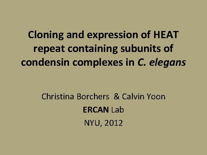 Cloning and expression of HEAT repeat containing subunits of condensin complexes in C. elegans