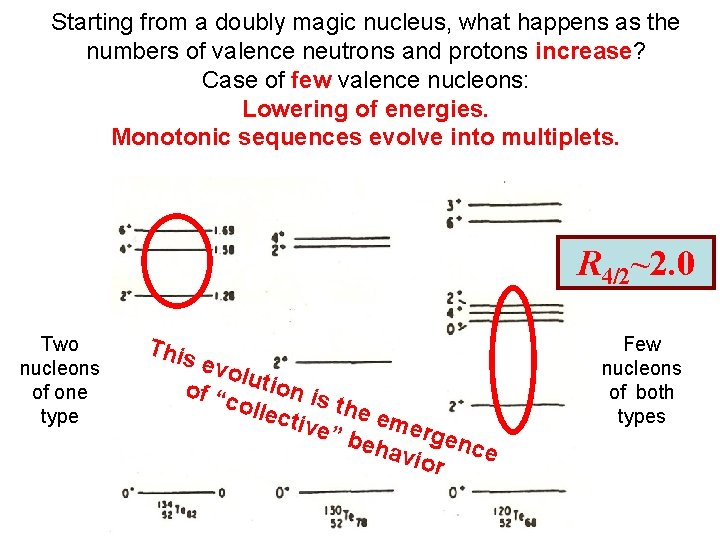 Starting from a doubly magic nucleus, what happens as the numbers of valence neutrons