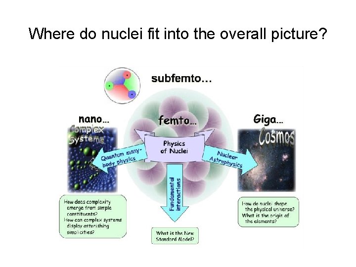 Where do nuclei fit into the overall picture? 