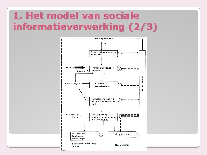 1. Het model van sociale informatieverwerking (2/3) 
