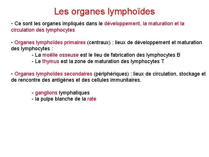 Les organes lymphoïdes • Ce sont les organes impliqués dans le développement, la maturation