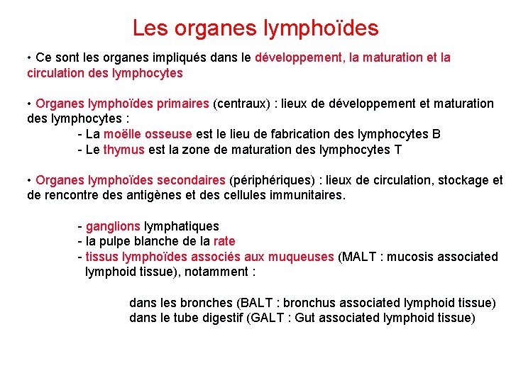 Les organes lymphoïdes • Ce sont les organes impliqués dans le développement, la maturation