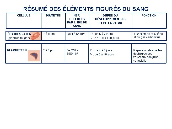 RÉSUMÉ DES ÉLÉMENTS FIGURÉS DU SANG CELLULE DIAMÈTRE NBR. CELLULES PAR LITRE DE SANG