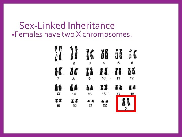 Sex-Linked Inheritance • Females have two X chromosomes. 