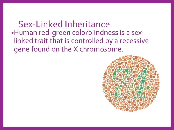 Sex-Linked Inheritance • Human red-green colorblindness is a sex- linked trait that is controlled