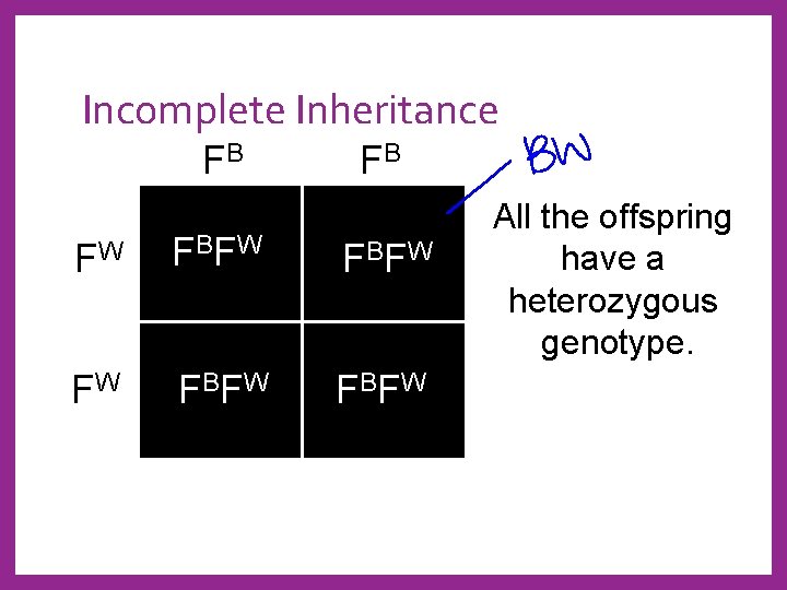 Incomplete Inheritance FB FB FW FBFW All the offspring have a heterozygous genotype. 