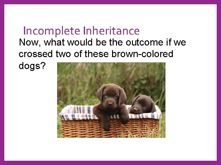 Incomplete Inheritance Now, what would be the outcome if we crossed two of these