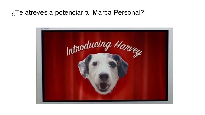 ¿Te atreves a potenciar tu Marca Personal? ¿Te atreves a potenciar tu Marca Personal?
