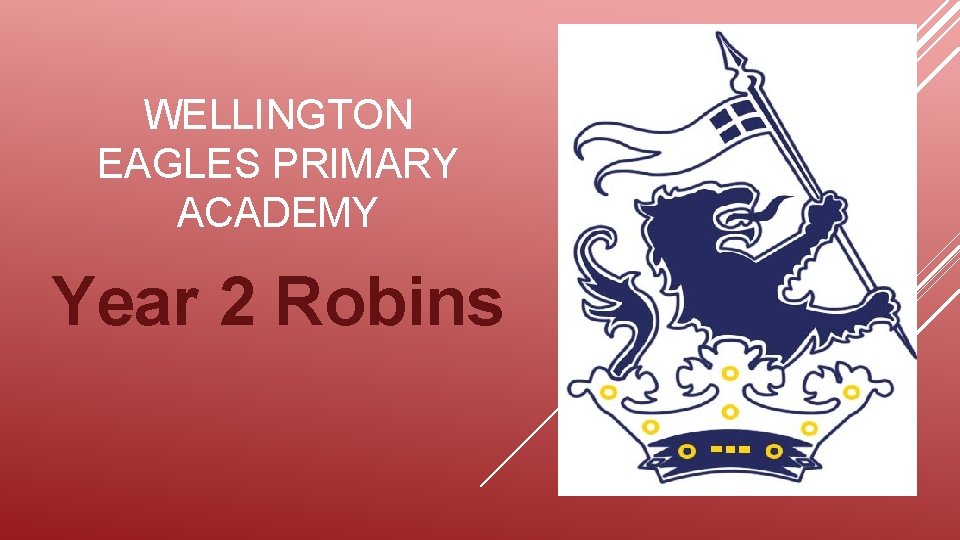 WELLINGTON EAGLES PRIMARY ACADEMY Year 2 Robins 